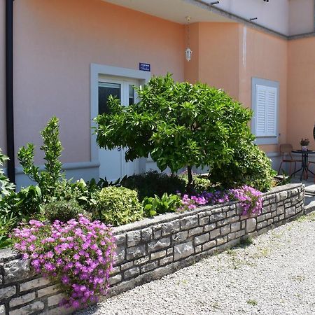 Apartman Fachin Apartment Motovun Exterior photo